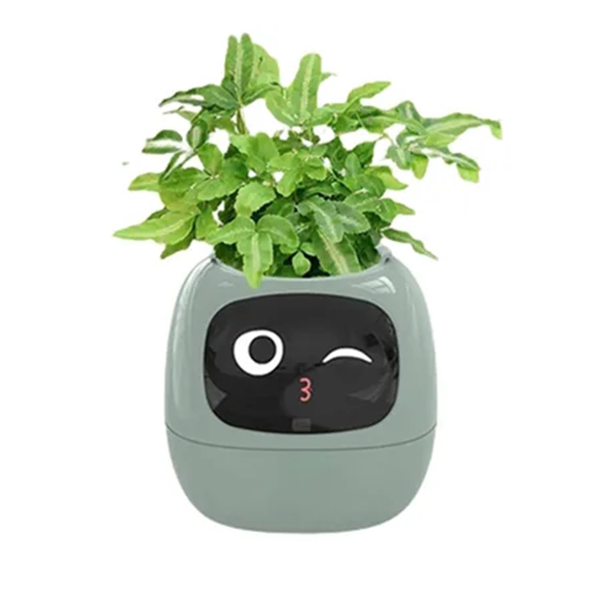 Smart Planter